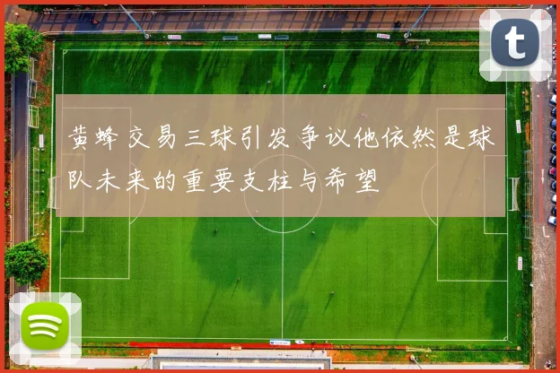 黄蜂交易三球引发争议他依然是球队未来的重要支柱与希望