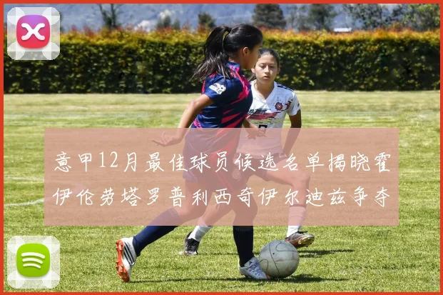 意甲12月最佳球员候选名单揭晓霍伊伦劳塔罗普利西奇伊尔迪兹争夺荣誉