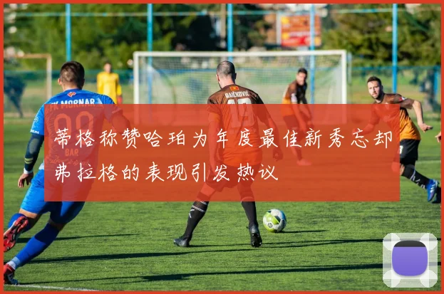 蒂格称赞哈珀为年度最佳新秀忘却弗拉格的表现引发热议